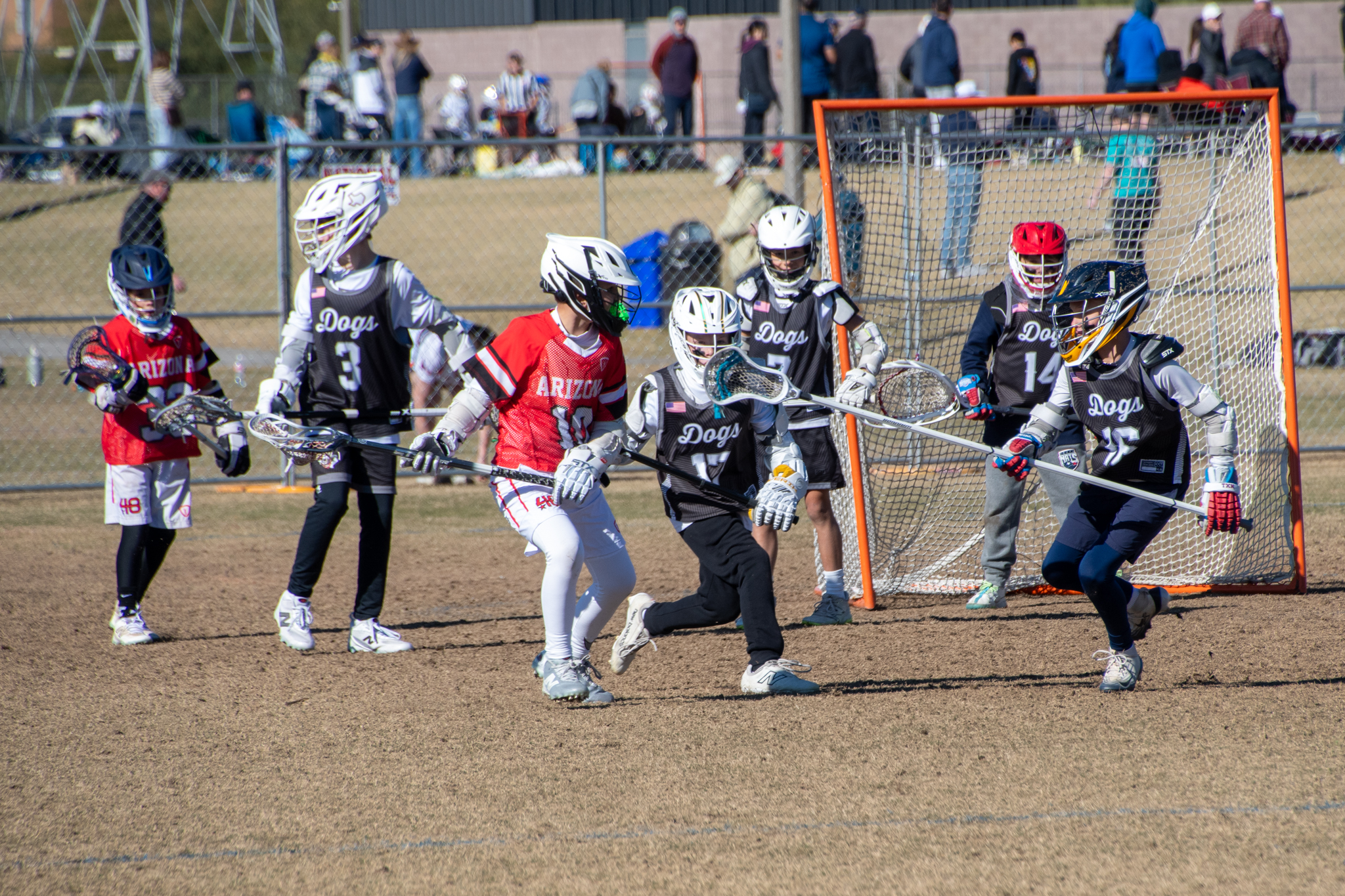 WLF 2034 35 vs MDSE 20